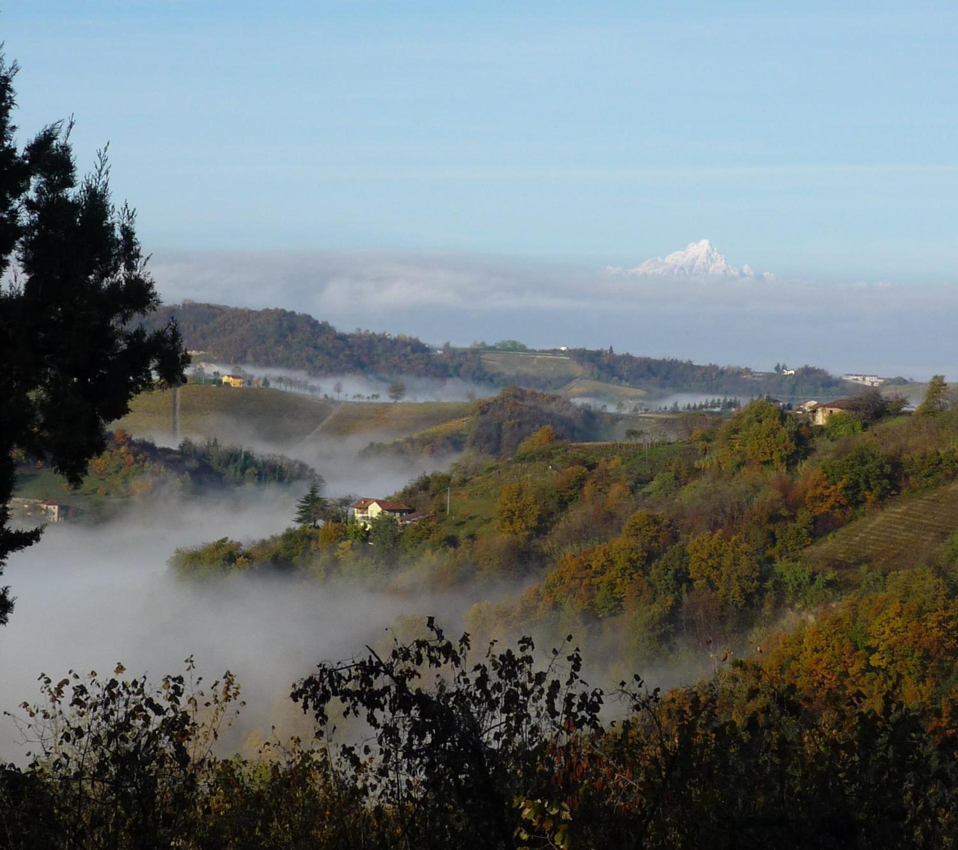 Farm stay Cascina Sant'eufemia *