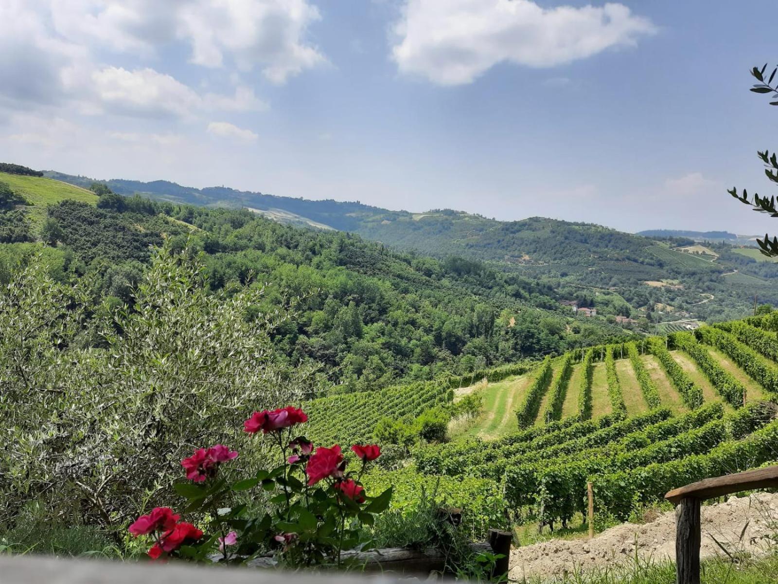 Farm stay Cascina Sant'eufemia *